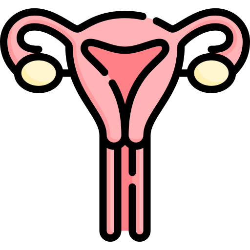 icon for Polycystic ovarian syndrome and other menstrual disorders